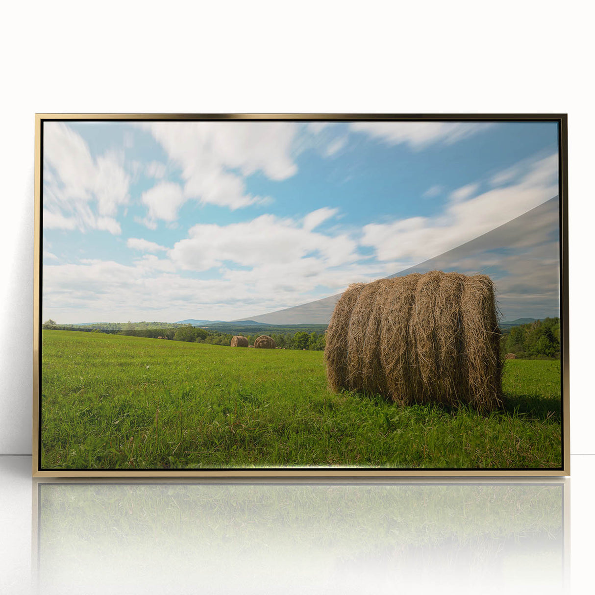 Acrylic print of Canada's New Brunswick scenery in gold frame, featuring earth tones, ideal for modern art wall decor.