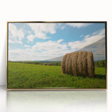 Acrylic print of Canada's New Brunswick scenery in gold frame, featuring earth tones, ideal for modern art wall decor.