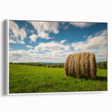 Vintage poster art of New Brunswick scenery in vibrant colors on a framed canvas, ideal for living room decor.