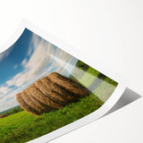 Extra large wall art featuring line art flowers in muted tones on a rolled print, ideal for large living room decor.