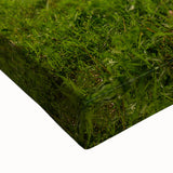 Black and white landscape art painting of New Brunswick on stretched canvas, ideal for bedroom wall decor.