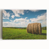 Black and white photograph of New Brunswick scenery on large stretched canvas, ideal for kitchen wall art.