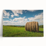 Black and white stretched canvas of New Brunswick scenery, ideal for kitchen wall art or bedroom ambiance.
