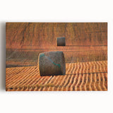 Black and white photograph of a Saskatchewan landscape on stretched canvas, ideal for kitchen wall art.