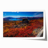 Rolled print of Yukon scenery with lush greenery and mountains, ideal for art wall dining room.