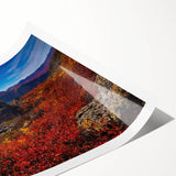 Extra large wall art featuring line art flowers in muted earth tones on a rolled canvas, ideal for large living room decor.