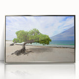 Large art print of a Caribbean Aruba scenery in muted blue and green tones, framed in silver acrylic.