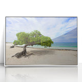 Mid-century modernist art depicting a serene Caribbean scene in muted blue and white tones, framed acrylic.