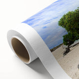 Art Deco poster of Caribbean Aruba scenery in pastel shades on rolled canvas, ideal for nursery wall art.