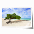 Extra large rolled print of a Caribbean Aruba scenery with vivid blue and green colors, ideal for art wall dining room.