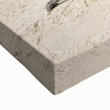 Black and white landscape art painting of Caribbean Aruba on stretched canvas, ideal for bedroom wall decor.