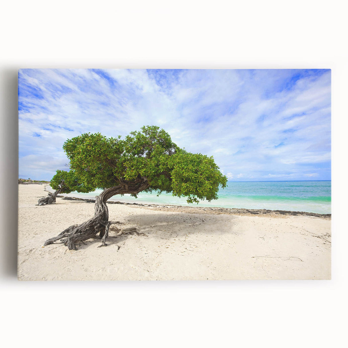Black and white photograph of Caribbean scenery on stretched canvas, ideal for kitchen wall art.
