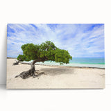 Black and white stretched canvas of a Caribbean Aruba scenery, ideal for kitchen wall art.