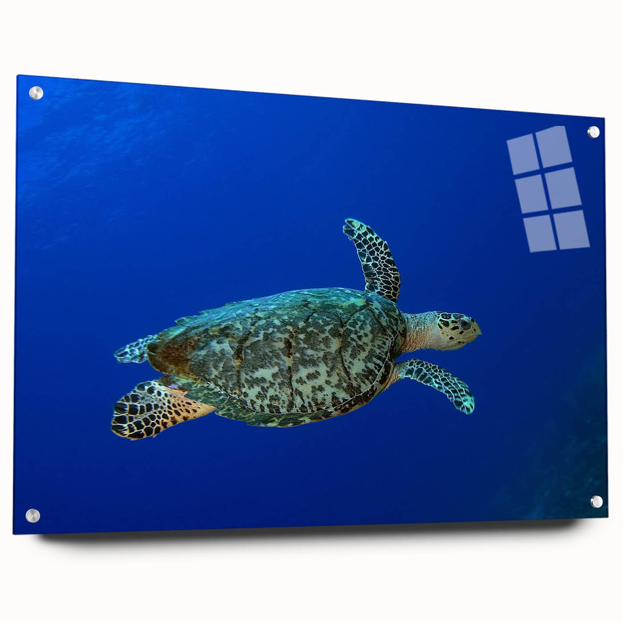 Caribbean Saint Lucia scenery on acrylic glass, featuring ocean and palm trees, in vibrant blue and green hues.