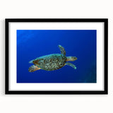 Extra large wall art depicting an abstract Caribbean scenery in vibrant colors on a textured canvas, framed in black.