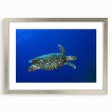 Extra large abstract art print of Caribbean scenery in a silver frame, featuring textured blue and green hues.