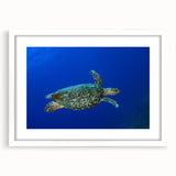 Textured art print of an abstract Caribbean scene in muted blue and green tones on a framed canvas, ideal for bedroom art.