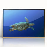 Acrylic print of a Caribbean Saint Lucia scenery, framed in gold, depicting vibrant ocean and sky.