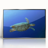 Framed acrylic print of Saint Lucia scenery in mid-century modernist style, ideal for modern art wall decor.