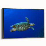 Black and white framed canvas of a vintage Saint Lucia landscape, ideal for bedroom wall art.