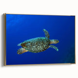 Framed canvas depicting a serene Caribbean landscape in Saint Lucia, with lush greens and ocean blues.