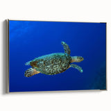 Framed canvas landscape art painting depicting the Caribbean, Saint Lucia scenery in vibrant, colorful hues.