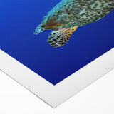 Art deco poster depicting Saint Lucia with vibrant blue and green tones on rolled canvas, suitable for dining room decor.