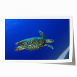 Extra large wall art print featuring a scenic view of Saint Lucia with vibrant green and blue tones on rolled canvas.