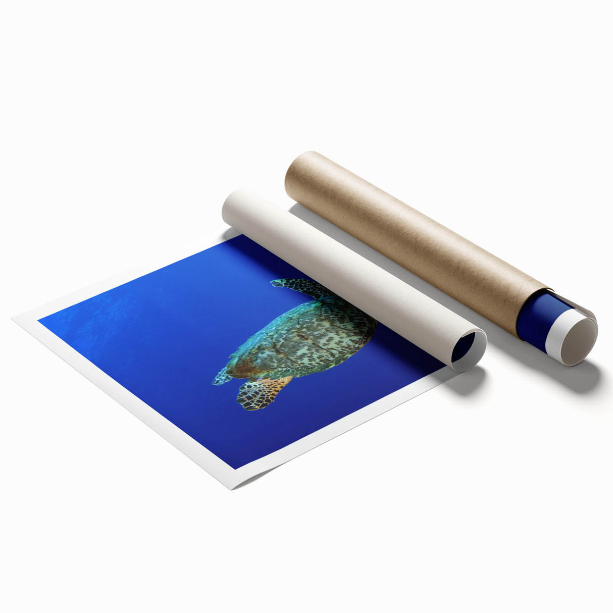 Extra large rolled print of a Caribbean Saint Lucia scenery with vibrant floral elements, ideal for classy bathroom wall art.
