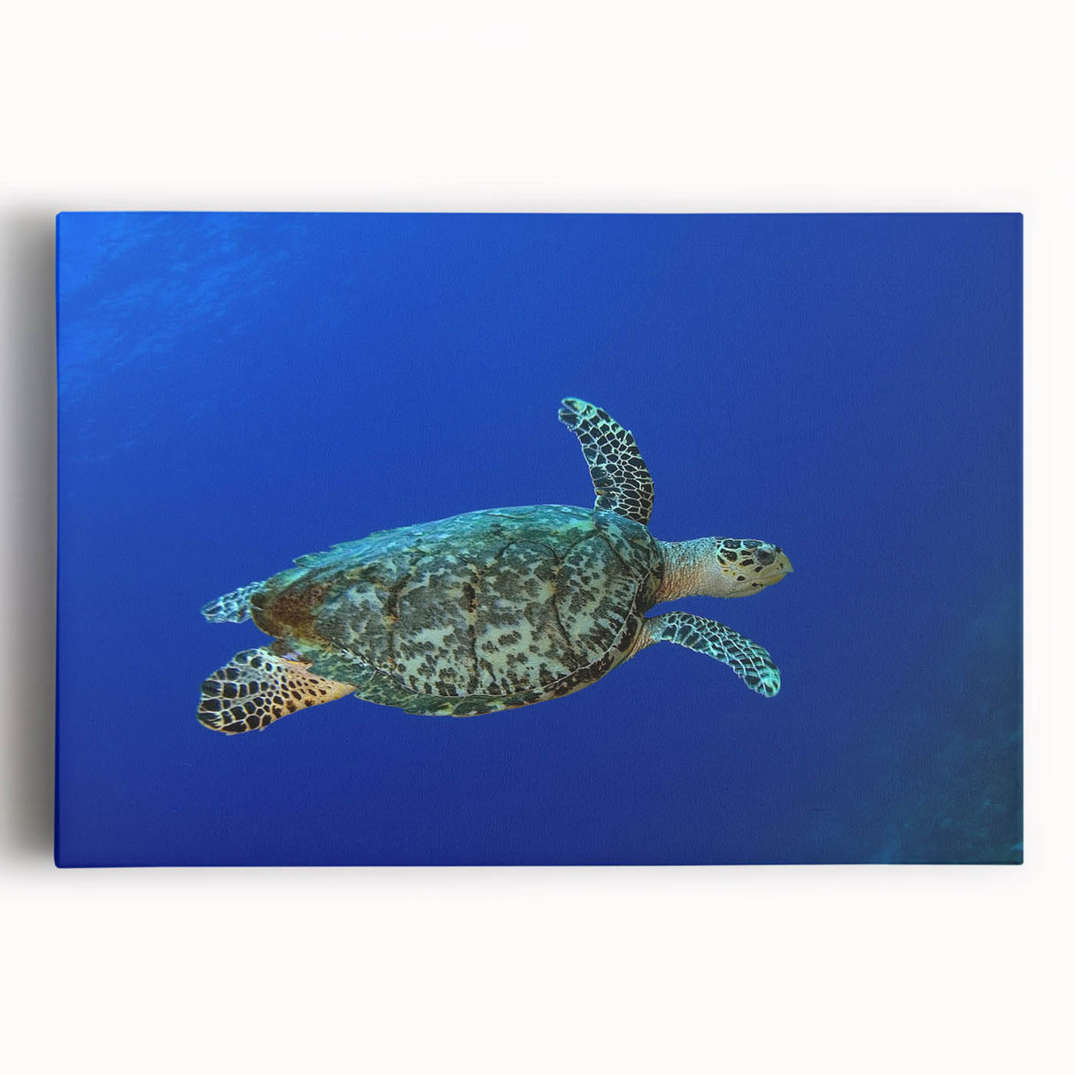 Black and white photograph of Caribbean Saint Lucia scenery on stretched canvas, ideal for kitchen wall art.