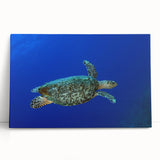 Black and white photograph of Saint Lucia scenery on large stretched canvas, ideal for kitchen wall art.