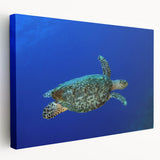 Stretched canvas featuring a Caribbean Saint Lucia scenery in vibrant blue and green tones, ideal for kitchen wall art.