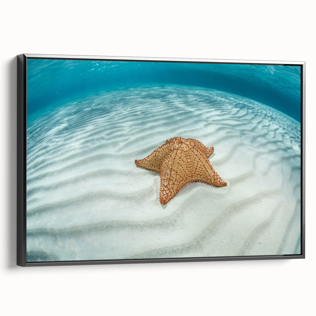 Black and white framed canvas depicting the Virgin Islands landscape, ideal for bedroom wall decor.