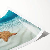 Extra large wall art featuring line art flowers and a Caribbean scenery on a rolled print.