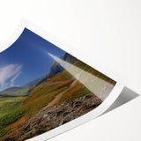 Extra large wall art featuring line art flowers in muted earth tones on a rolled print, suitable for large living room decor.