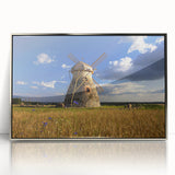 Large art print of a European scenery in Estonia, featuring muted earth tones on a framed acrylic.