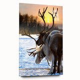 Large abstract wall art of a serene Finnish landscape in muted blues and greens on acrylic glass.