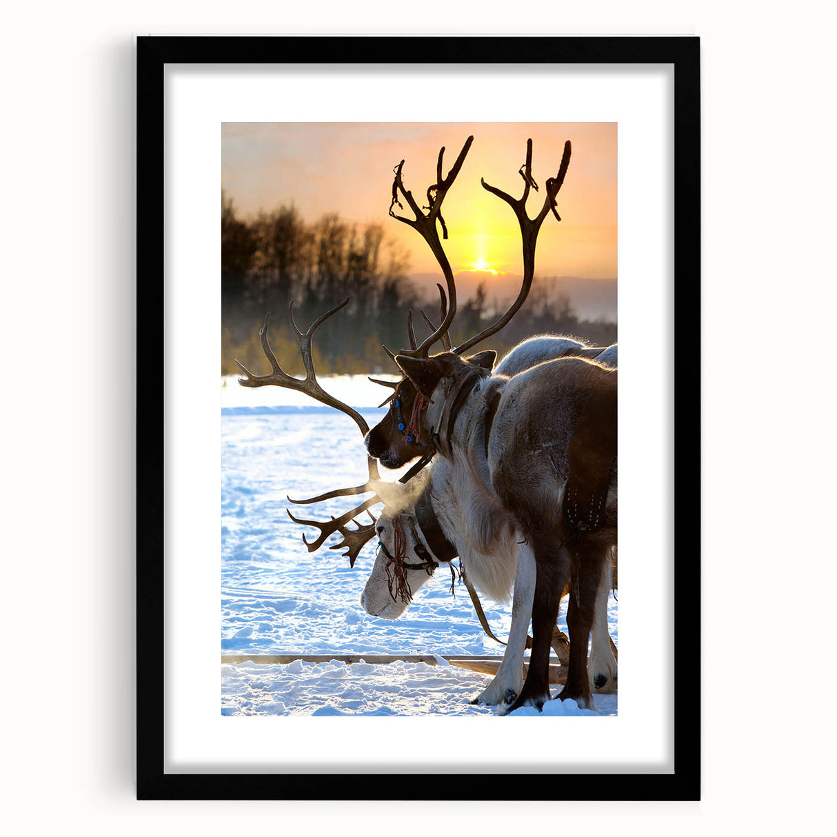 Abstract art print of a vibrant, colorful Finnish landscape on a textured, extra large canvas, ideal for living room decor.
