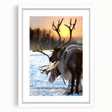 Textured abstract art print of a Finnish scenery in muted blue and green tones, framed in white.