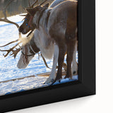 Extra large framed canvas featuring a textured black wall art with colorful, abstract scenery of Finland.