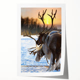 Rolled print featuring a serene Finnish landscape with lush greenery and a tranquil lake, ideal for dining room wall art.