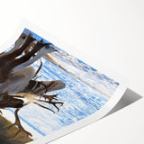 Extra large wall art featuring line art flowers in black on white, rolled print, ideal for large living room decor.