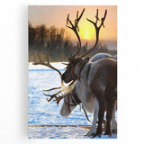 Black and white photograph of a serene Finnish landscape on stretched canvas, ideal for kitchen wall art.