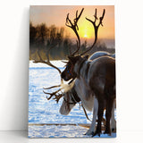 Black and white photograph of a serene Finnish landscape on stretched canvas, ideal for kitchen wall art.