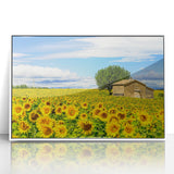 Mid-century modernist art of a serene French southern landscape, soft pastel colors on a framed acrylic.