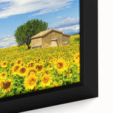 Extra large framed canvas featuring a textured depiction of a southern France landscape in black with colorful art accents.