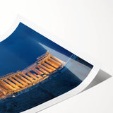 Extra large rolled print featuring line art flowers with a muted palette, ideal for large living room wall art.