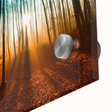 Large abstract wall art of a Hungarian landscape in muted earth tones on acrylic glass, ideal for dining room ambiance.