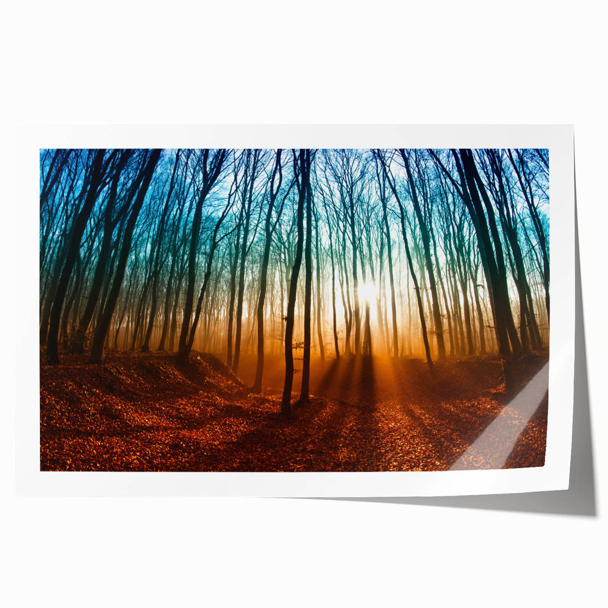 Rolled print of a European scenery in Hungary with vibrant floral elements, ideal for art wall dining room decor.