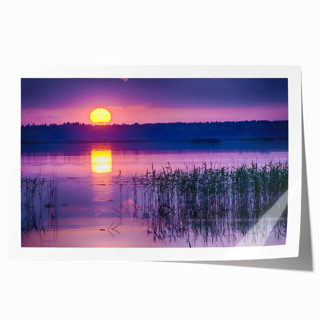 Rolled print of a European scenery in Latvia, featuring floral elements in muted colors, ideal for art wall dining room.